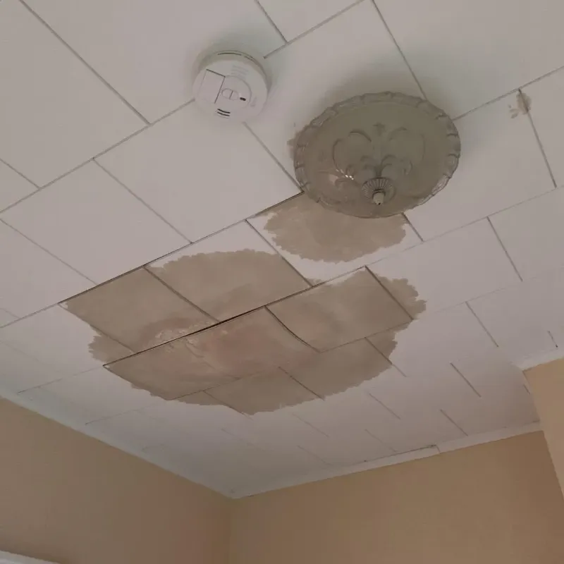 Ceiling Water Damage Repair in Wallkill, NY